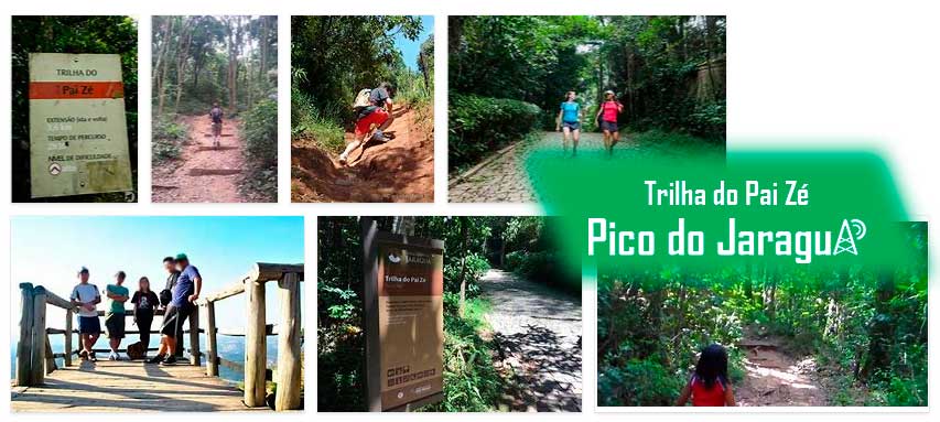 Trilha do Pai Zé - Pico do Jaraguá